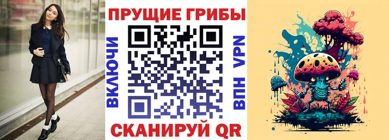 Псилоцибиновые грибы MAGIC MUSHROOMS  наркотики  Луховицы 